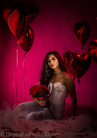 292-Brianne Valentines