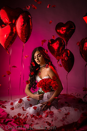 364-Brianne Valentines