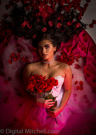 404-Brianne Valentines