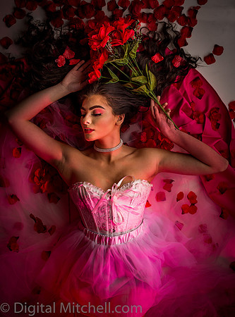 418-Brianne Valentines