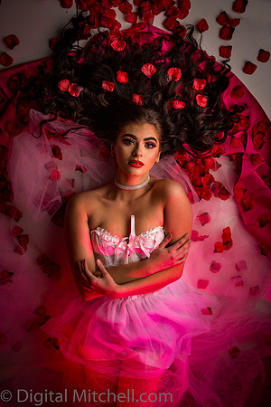 428-Brianne Valentines