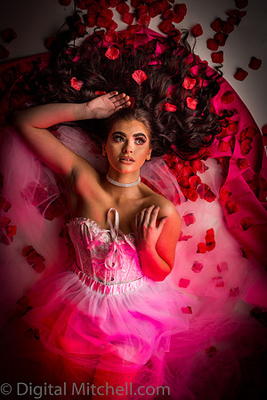 442-Brianne Valentines