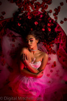 445-Brianne Valentines