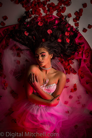 445-Brianne Valentines