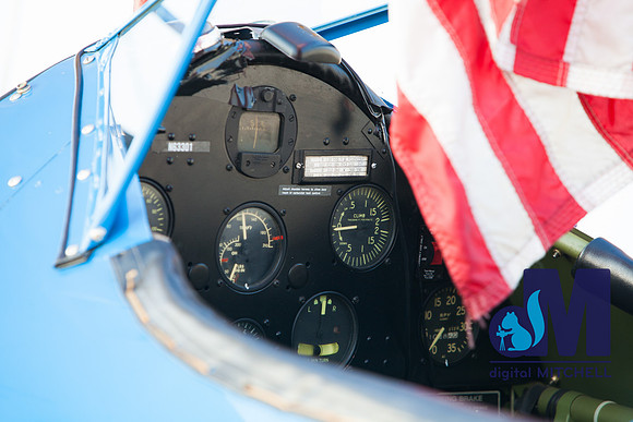 WarBirds2013-1427