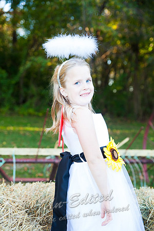 J-PJ-Wedding-264