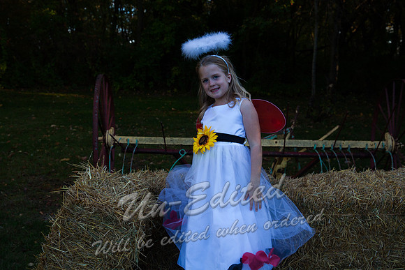 J-PJ-Wedding-268