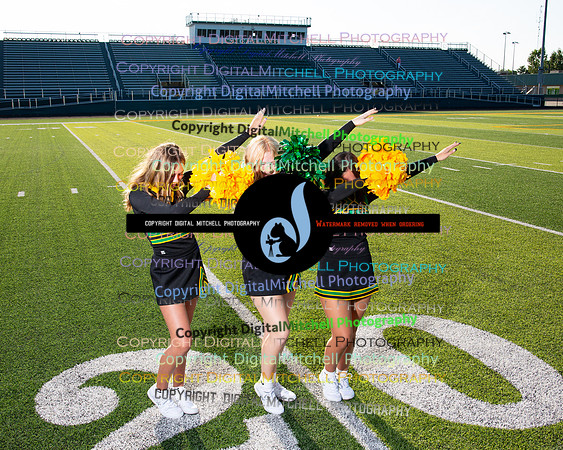 267-NHS 2024 Fall