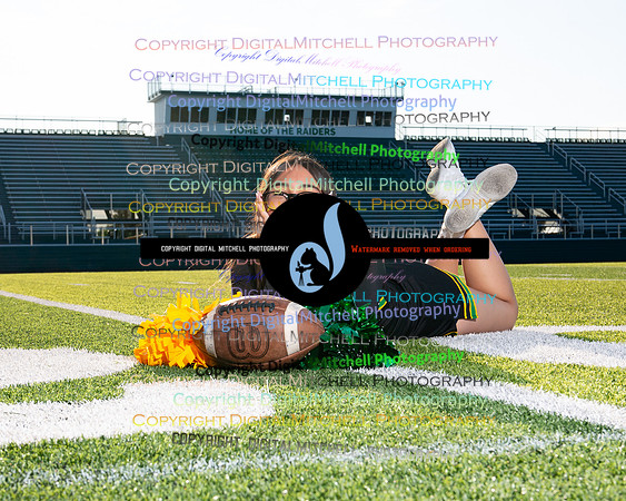 282-NHS 2024 Fall