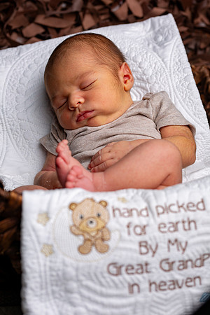 108-Baby Wesley