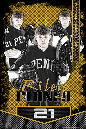 Riley Planey 60x90