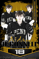 Aidan OConnell 60x90