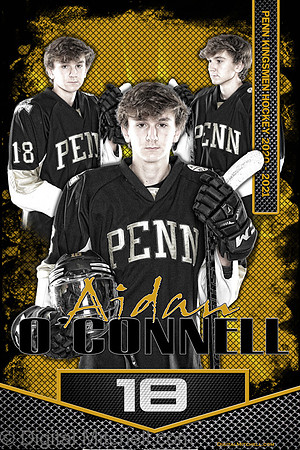Aidan OConnell 60x90