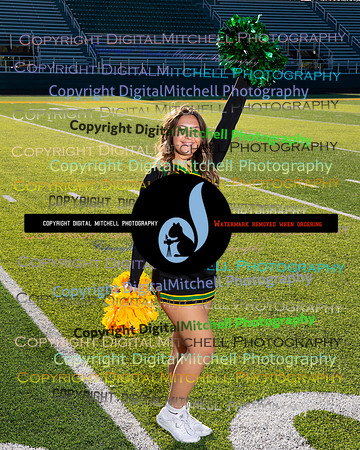 287-NHS 2024 Fall