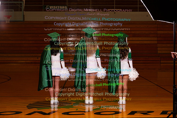 217-2024 Winter Cheer