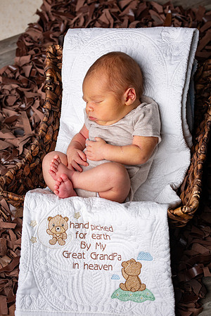 101-Baby Wesley