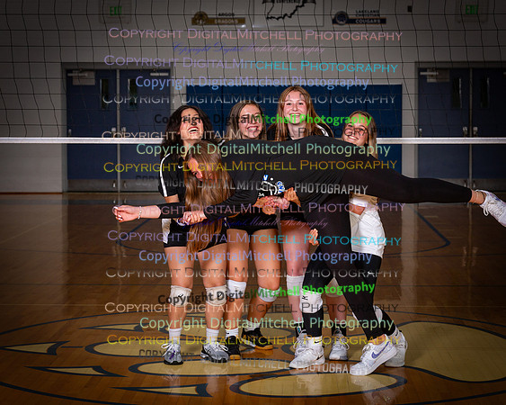 162-2024 VB