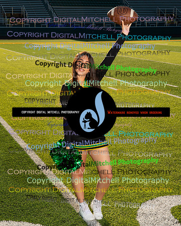 285-NHS 2024 Fall