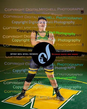 86-NHS 2024 wrestling
