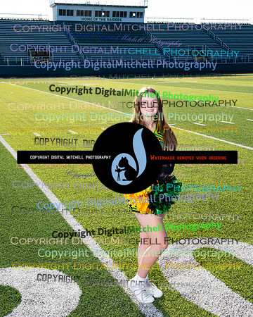 274-NHS 2024 Fall