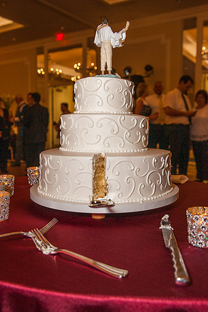 NinaDaveEngagement-33b