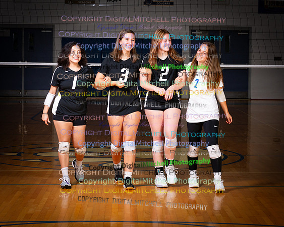 151-2024 VB