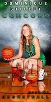 CHS Dominique Stilley 15x30 ver 1 TO PRINT