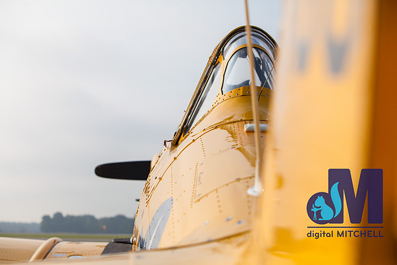 WarBirds2013-1442