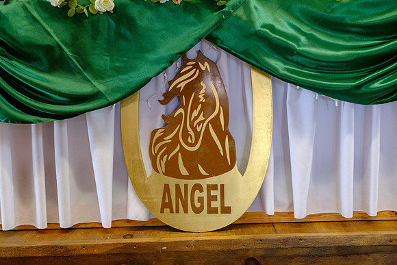 20-Angel