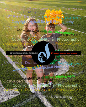 536-NHS 2024 Fall