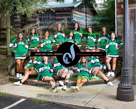161-2024 Fall Cheer