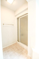 21646 Coulteri-100