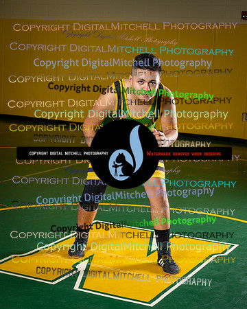 83-NHS 2024 wrestling