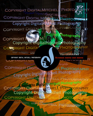 187-CHS 2025 Fall VB