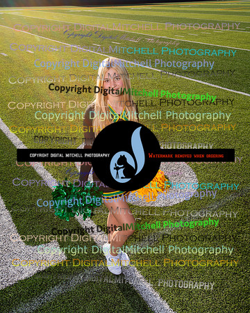 531-NHS 2024 Fall
