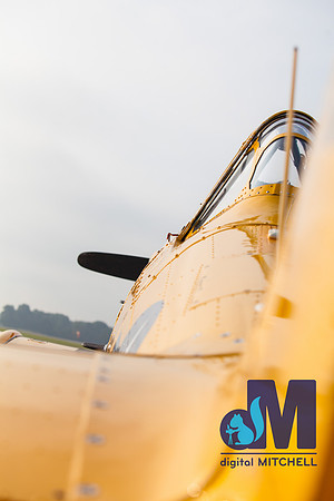 WarBirds2013-1443