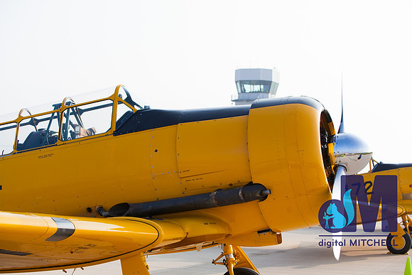 WarBirds2013-1439