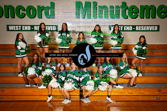 25-2024 Winter Cheer