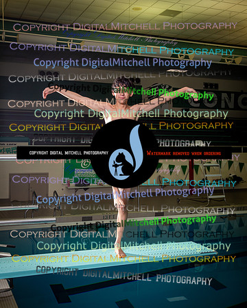 138-2024 CHS Swim-Dive