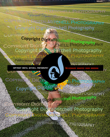 526-NHS 2024 Fall