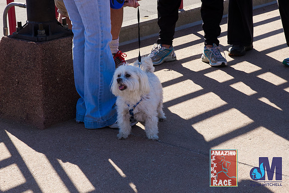 Elkhart Amazing 2014Race 2014-923-E