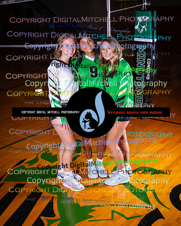 209-CHS 2025 Fall VB