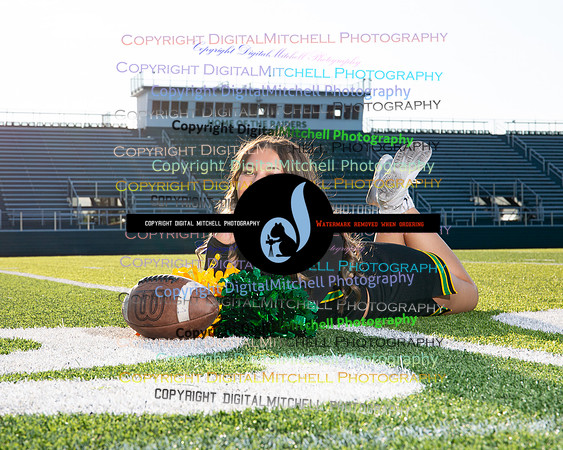 288-NHS 2024 Fall