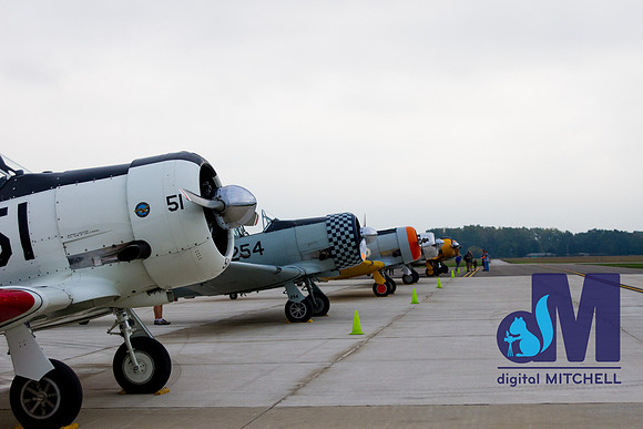 WarBirds2013-2893