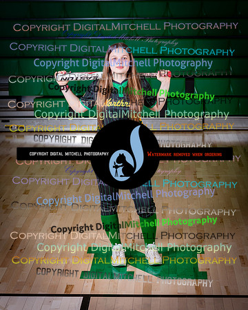 194-NHS 2025 Track and Softball