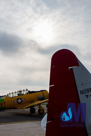 WarBirds2013-2885