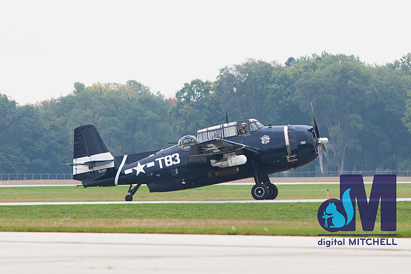 WarBirds2013-1930
