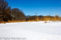77-Cobus Creek Winter 2-18-22