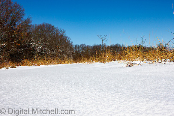 77-Cobus Creek Winter 2-18-22