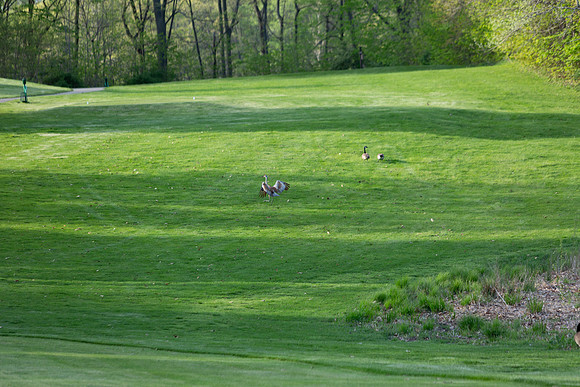 236-Hunter Golf Match